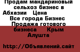 Продам мандариновый сельхоз-бизнес в Абхазии › Цена ­ 1 000 000 - Все города Бизнес » Продажа готового бизнеса   . Крым,Алушта